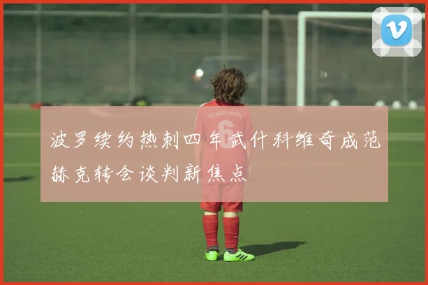 波罗续约热刺四年武什科维奇成范赫克转会谈判新焦点