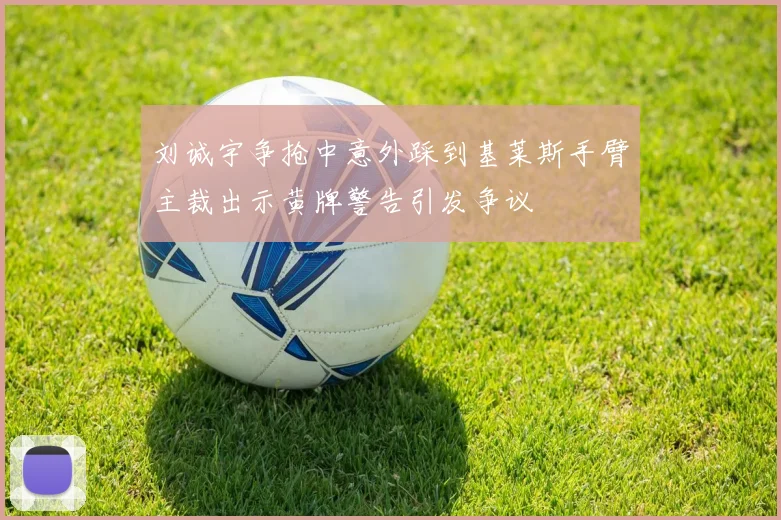 刘诚宇争抢中意外踩到基莱斯手臂主裁出示黄牌警告引发争议